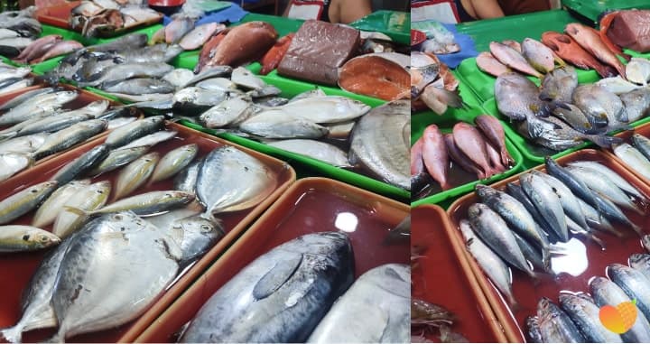 Fresh fish and shrimp on trays at the fish stall